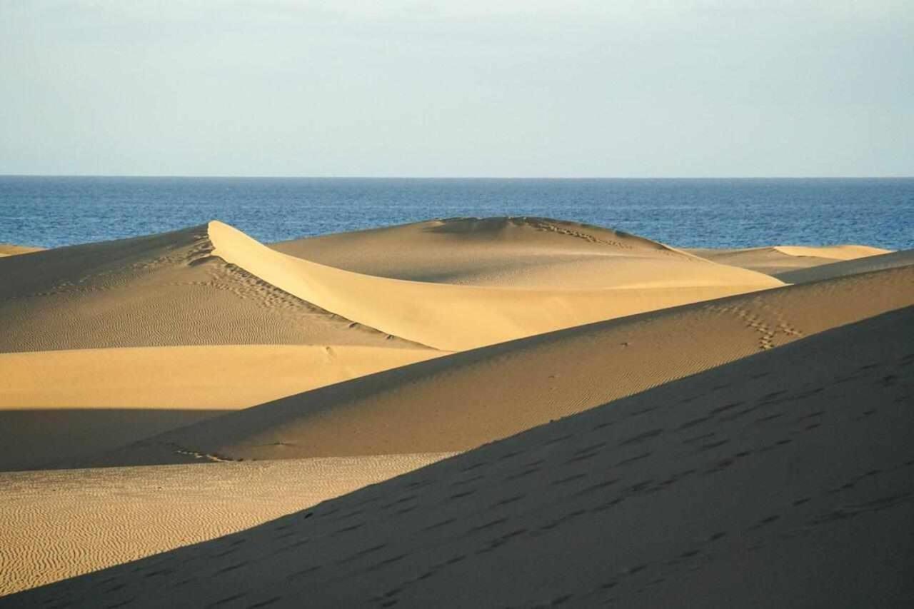 Los albaricoques Maspalomas  Exterior foto